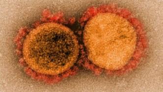 最新研究：新冠出院患者半年后仍至少一种症状，抗体水平下降