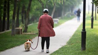 民建上海市委建言文明养犬：适时推出养犬证计分制度