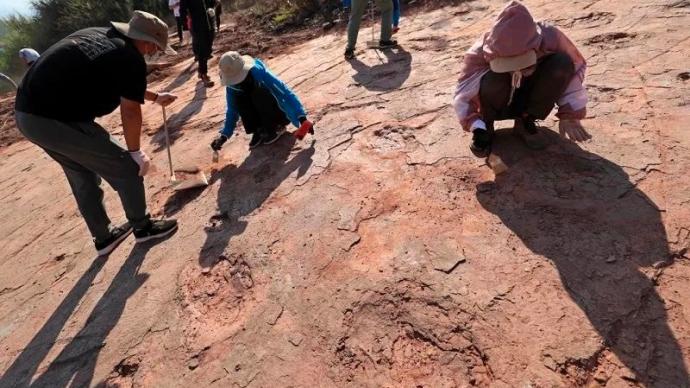 距今8000万年，福建首次发现晚白垩世恐龙足迹群