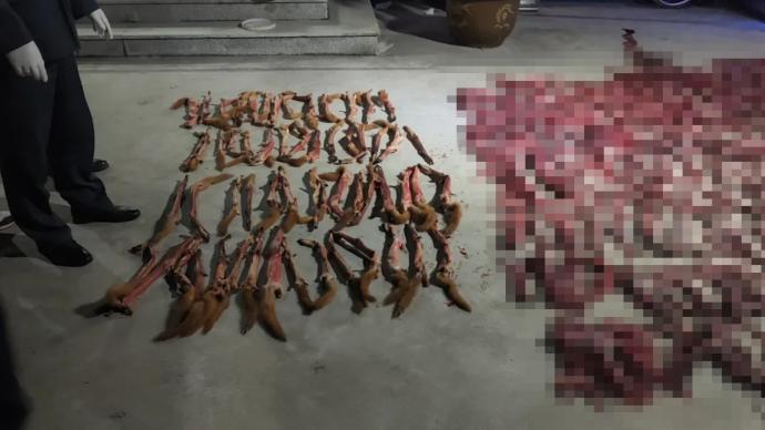 猎杀黄鼠狼653只卖皮毛，上海三人因涉嫌非法狩猎罪被批捕