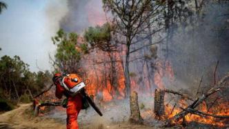 四川：出台森林草原灭火组织指挥工作规范
