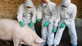 农业农村部发布《2021年国家动物疫病强制免疫计划》