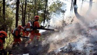 为预防火灾，四川攀枝花森林消防已“计划烧除”超360公顷