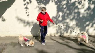上海文明养宠观察｜宠物出行和公共安全如何平衡？