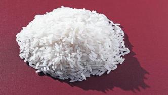 广东人爱吃的籼米是怎么从东南亚进入中国的