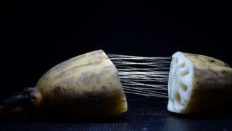 受“藕断丝连”启发，中国科学家研制出新型仿生手术缝线