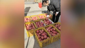 为山东金矿救援人员送煎饼后，女子再送500斤自家种的苹果