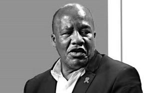 南非总统府部长因新冠肺炎并发症去世