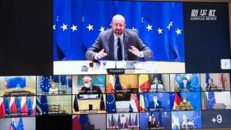 欧盟领导人举行视频会议，商讨新冠疫情协调措施