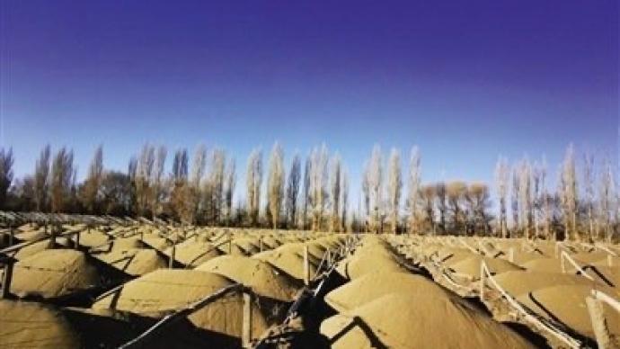 甘肃通报阳关林场防护林被毁调查：未发现林地大面积减少情况