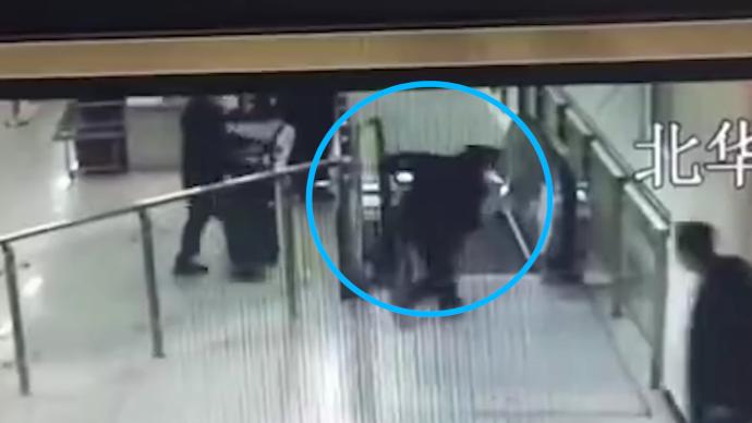 74岁老人在地铁电梯摔倒，年近五旬民警飞身跨栏救人