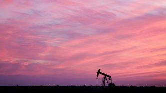 美媒：拜登将宣布禁止在联邦土地进行新的石油及天然气钻探