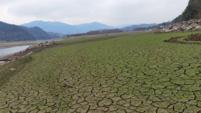 浙江遭遇8年最強旱情,多地開展抗旱保供水工作