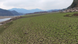 浙江遭遇8年最强旱情，多地开展抗旱保供水工作