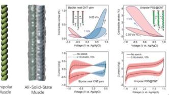 人工肌肉智能材料研究取得新突破，解决电容依赖性问题