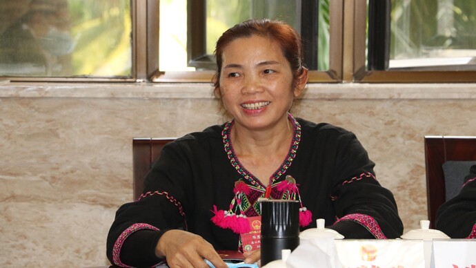 省人大代表,七叉镇乙劳村委会计生员陈慧珍建议政府出台关于天然橡胶