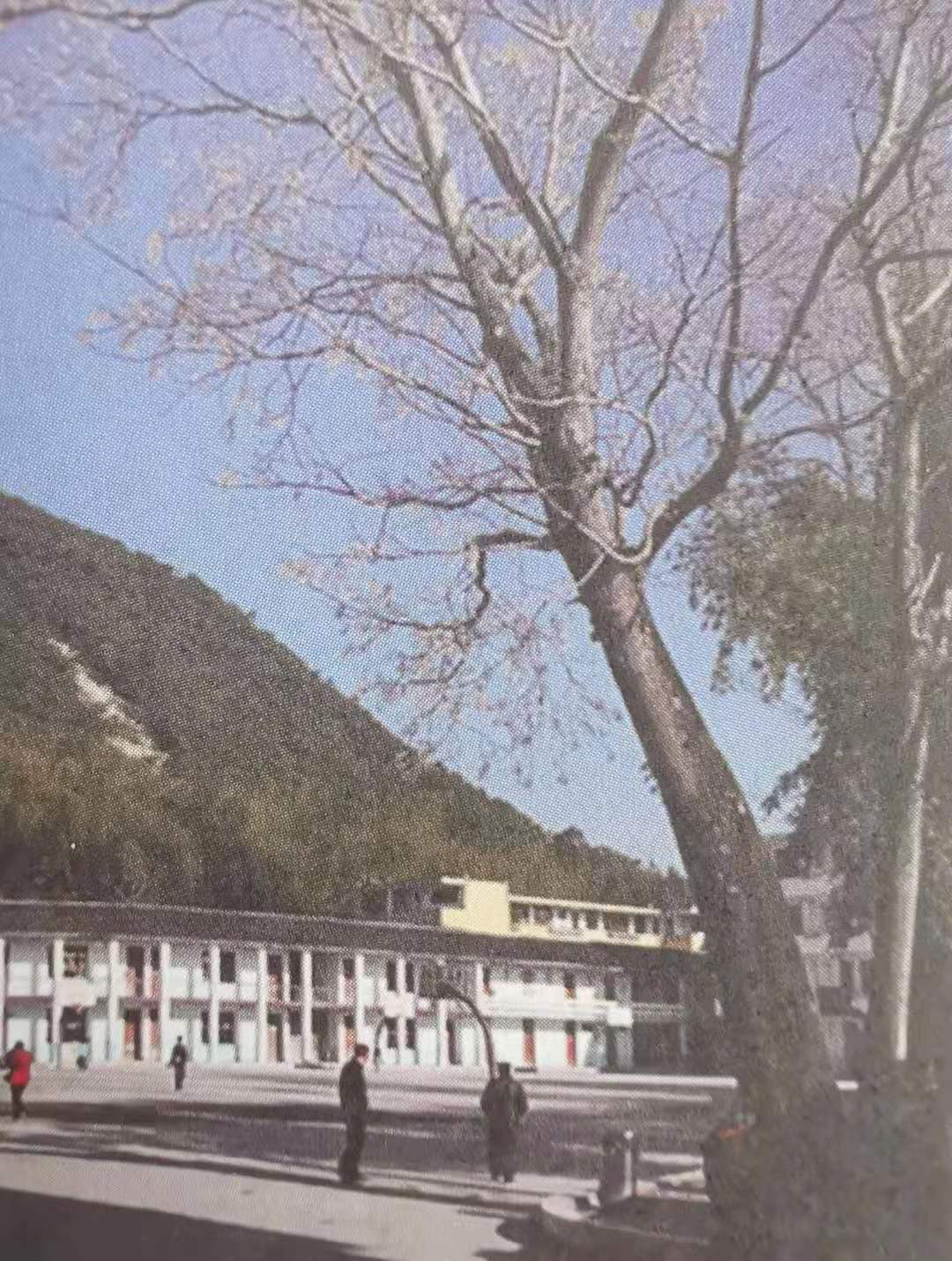 兄在《梦的回忆》中有一段话讲得特别好,他说:当时的寿宁三中极其贫瘠