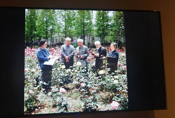 吴青霞与老画师在一起