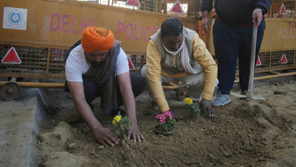 早安·世界｜印度农民持续反对新农业法，在抗议点种花