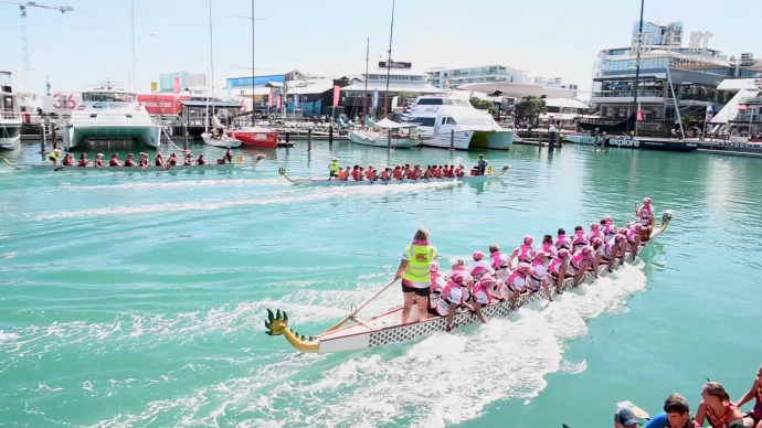 新西兰举行龙舟赛，庆祝奥克兰日181周年