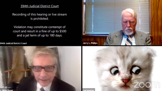 美国律师参加线上庭审，误开滤镜秒变“一只猫”