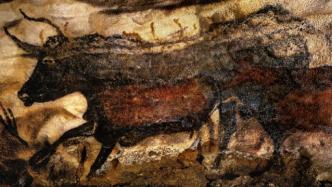 鉴赏｜从万年前的黑牛壁画看到毕加索笔下公牛
