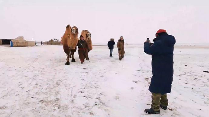 直播呼倫貝爾草原生活，牧民達西“貓冬”的新方式