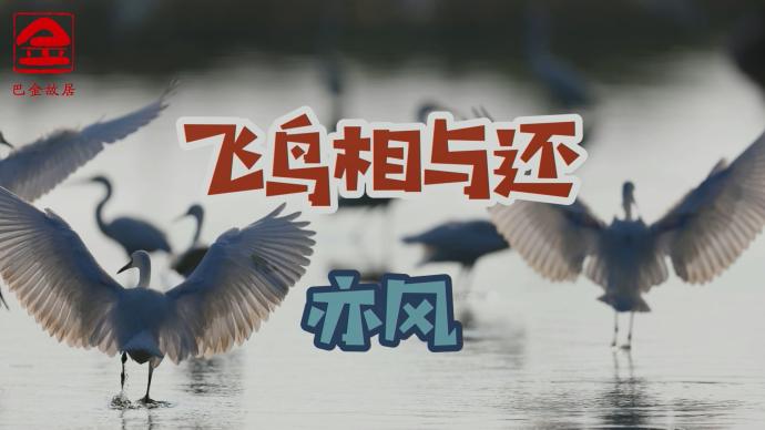 巴金故居“新春闲话”特辑｜年初六亦风谈观鸟