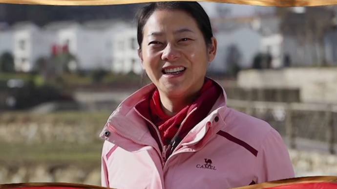 2020年诚信之星安徽省大湾村党总支第一书记余静