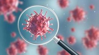 体外试验：南非发现的变异新冠病毒或降低辉瑞疫苗作用
