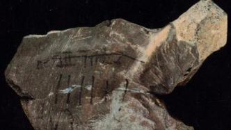 学者刊文称发现二里头陶片“字痕”，考古队：系记号笔笔道