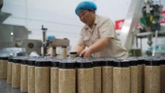 五常大米、宁夏枸杞，中国累计批准地理标志产品2394个
