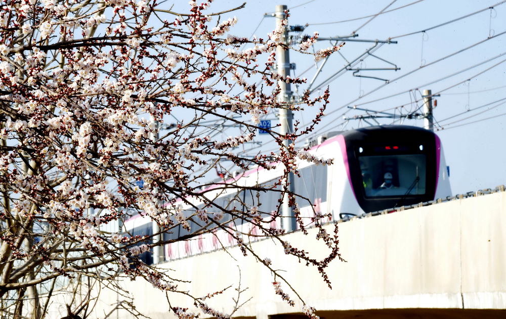 洛阳市红山地铁小镇图片