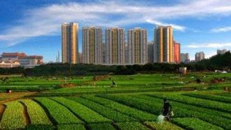 上海社科院｜超大城市为什么更需要大力发展都市农业