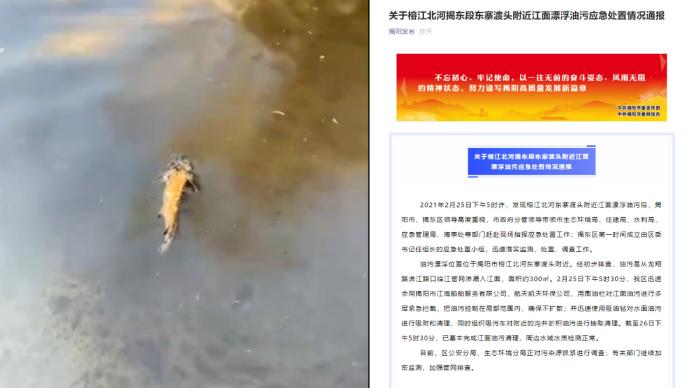 揭阳通报榕江北河江面漂浮油污：系临江管网渗入