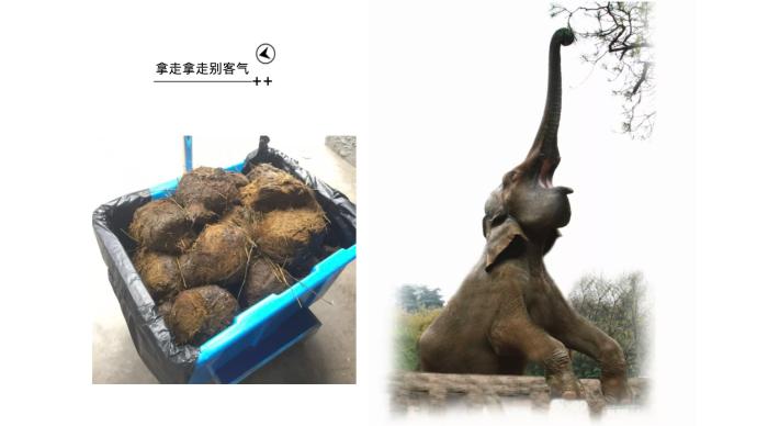 20元一斤的“動物便便”竟然還賣斷貨了？用過的都說好