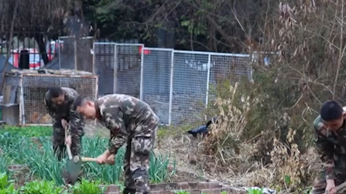 深山武警守雄伟电站种开心农场