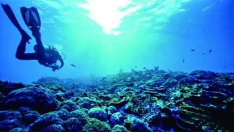 海南启动南海生物种质资源库建设，加强南海生物资源保护利用