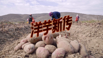 纪录片丨洋芋新传：西海固的活命薯、脱贫薯、致富薯