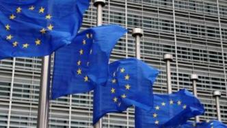 涉纳瓦利内事件，欧盟理事会决定制裁4名俄罗斯官员
