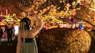 武汉东湖樱花节开幕，广东小姐姐穿汉服夜游樱园：好浪漫