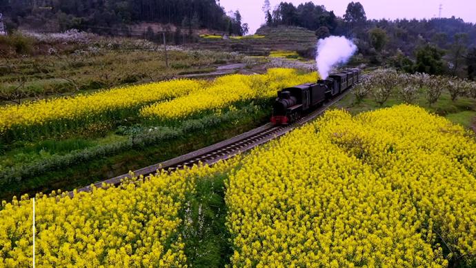 开往春天，它是全世界唯一正常运行的客运蒸汽窄轨小火车