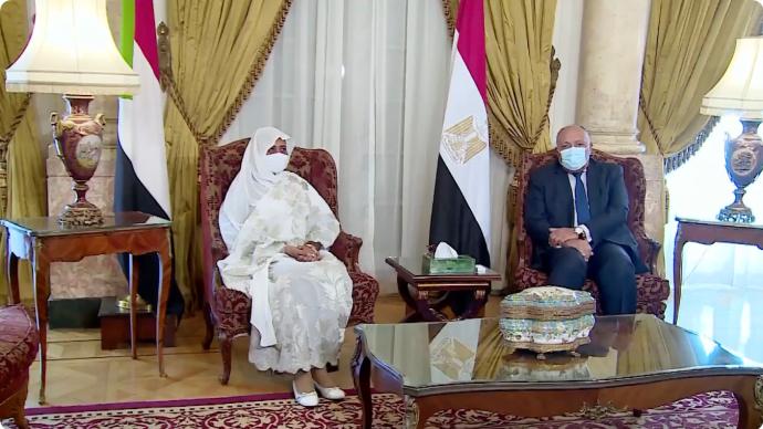 埃及和苏丹呼吁就复兴大坝达成协议：谴责埃塞俄比亚蓄水
