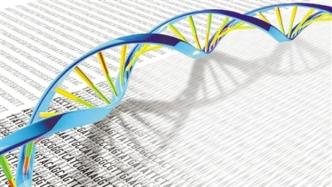 基因组数据揭示25个人种间遗传差异，发现更复杂遗传变异