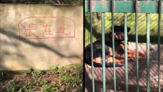 咸宁林业局回应“动物园以狗充狼”：原本有狼，已年老死亡