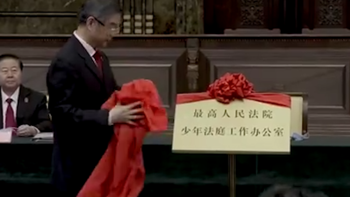 最高法少年法庭工作辦公室揭牌