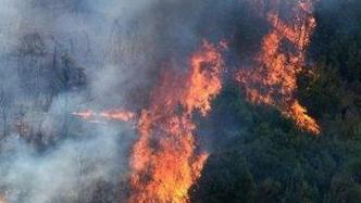 江西一农民烧杂草致一百多亩林地遭火灾，犯失火罪获刑