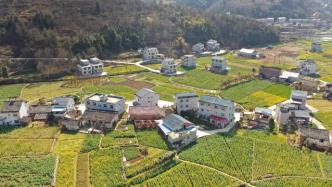 韩勇委员：西部地区县域经济发展存在短板，建议加大支持力度