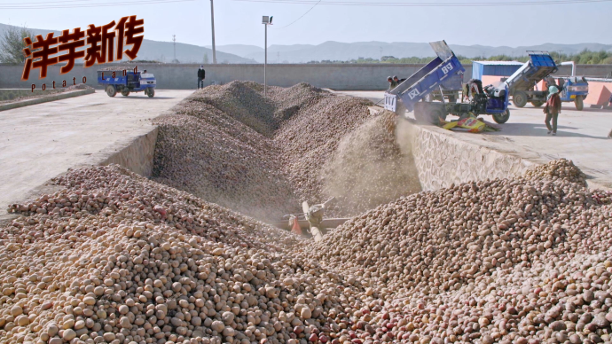 洋芋新传丨产业篇：走出西海固，淀粉厂当家人的小目标