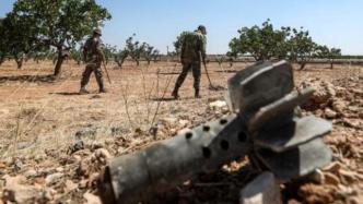 叙利亚平民采摘松露误触地雷，致18人身亡